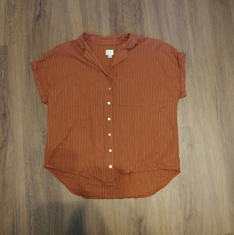 Metallic nice button down
